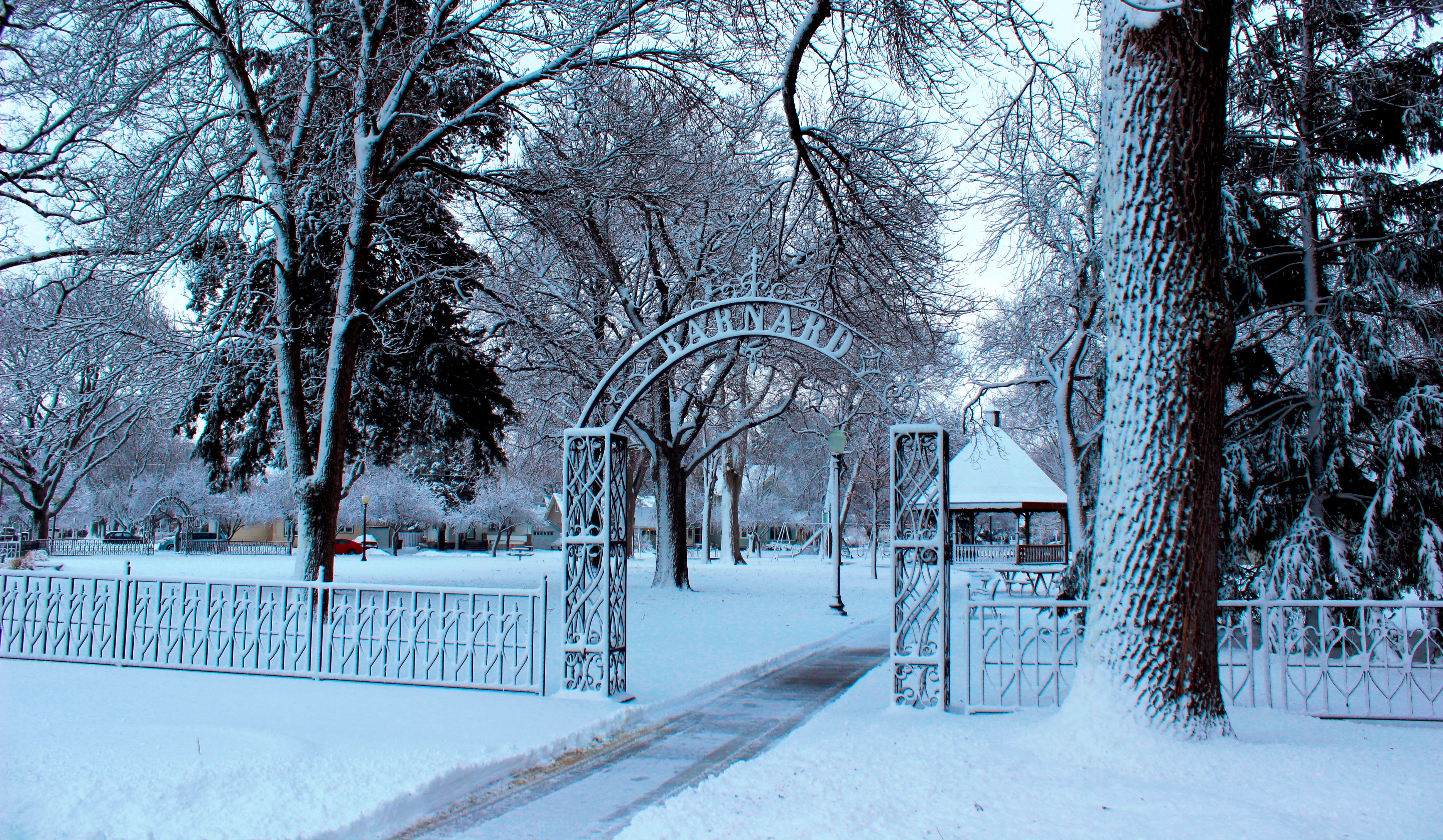 Barnard Park-Winter