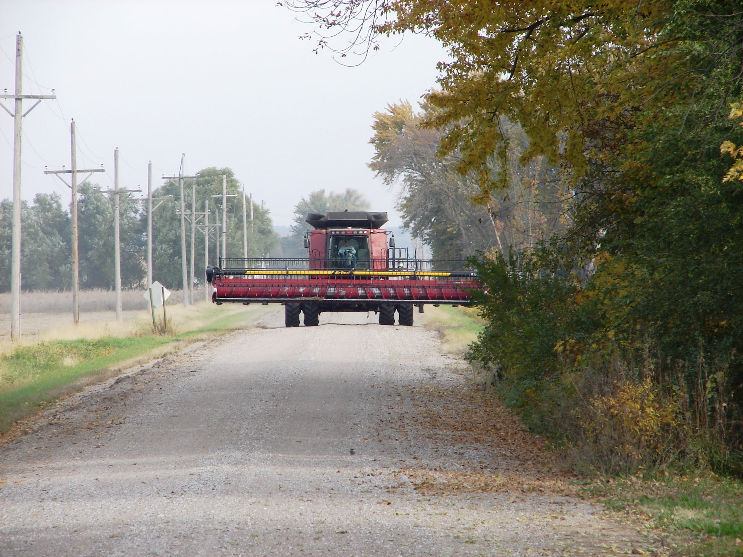 farm, family & fun