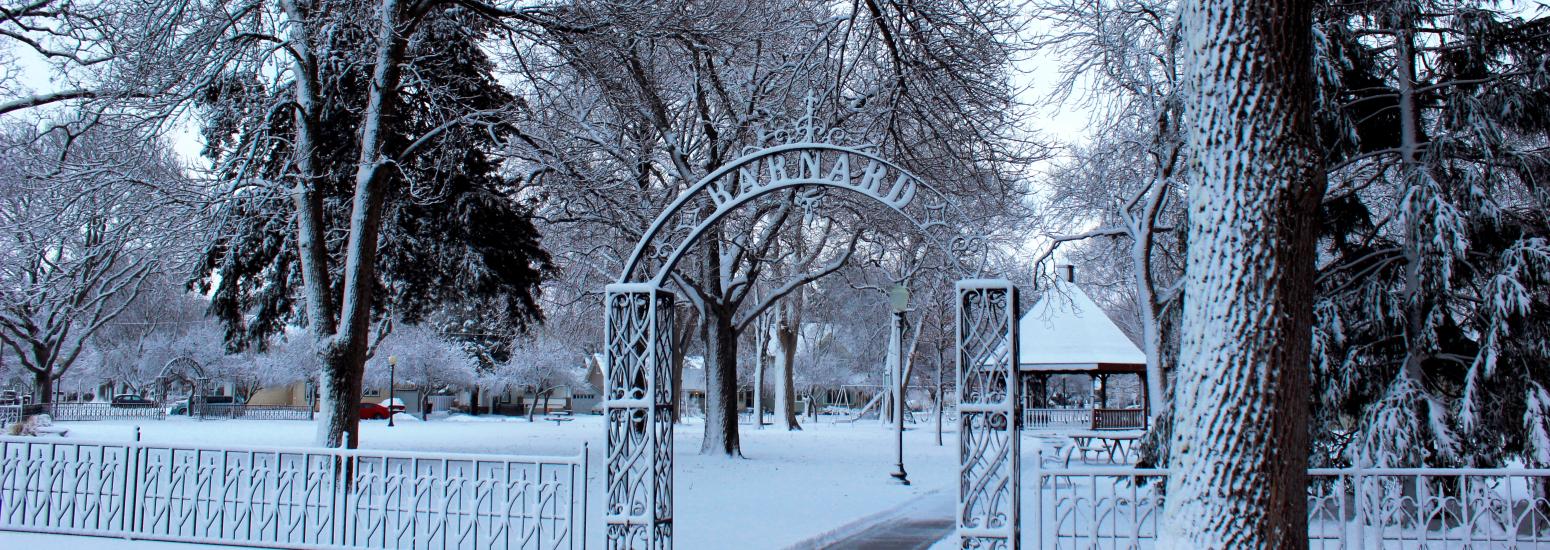 Barnard Park-Winter